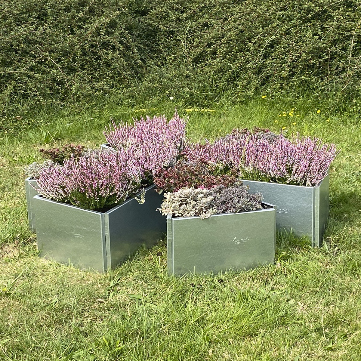 Odlingslåda - Margueritte design järn/rostar