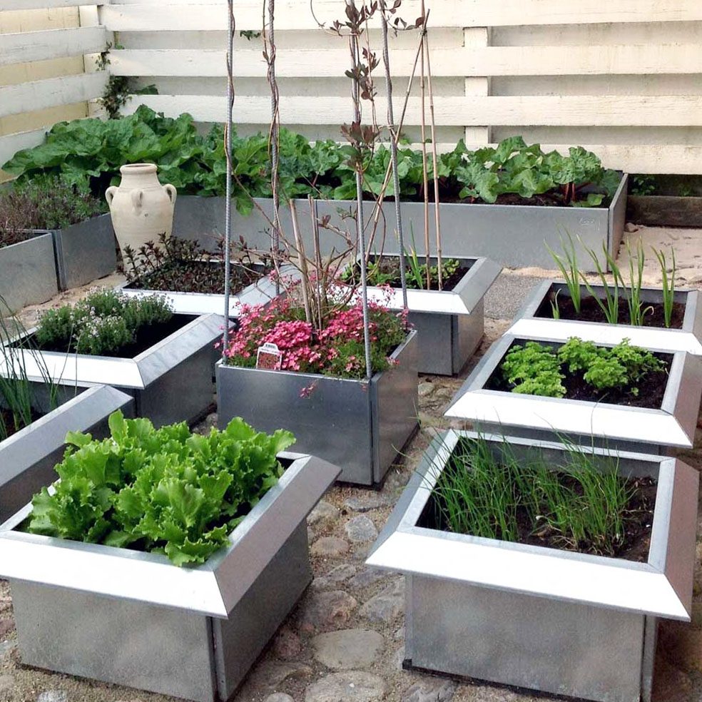 Sneglehegn - galvaniseret