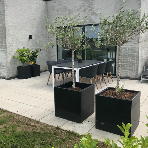 Svart blomlådor -  höjd 40 cm