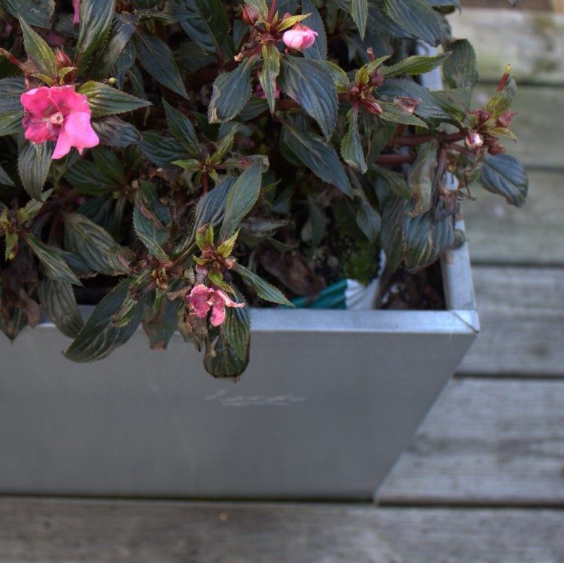 Kapilærkasseskjuler i galvaniseret stål