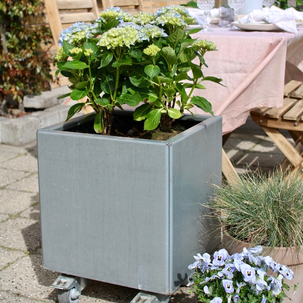 Blomlådor Land Modern