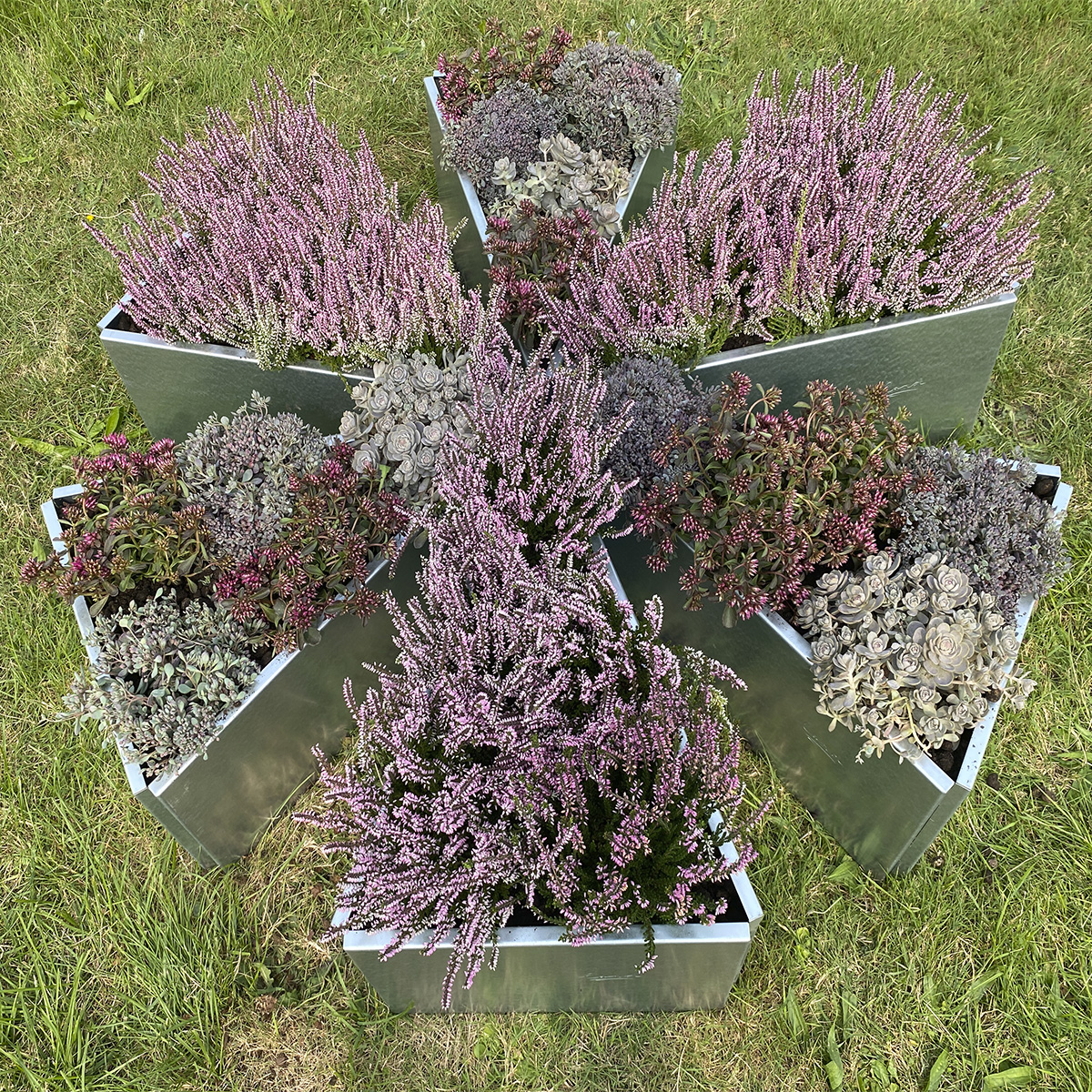 Odlingslåda - Margueritte design