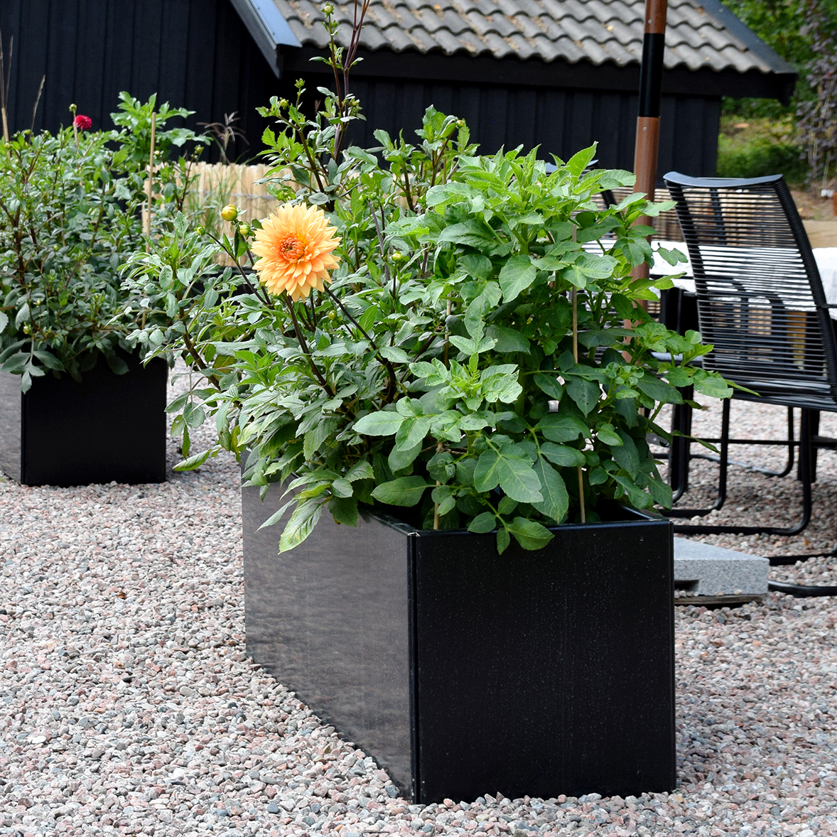 Land Black Højbed 40x120