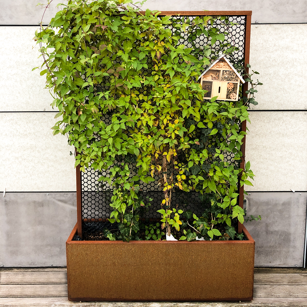 Spaljé och blomlåda - eksta höjd 180 cm