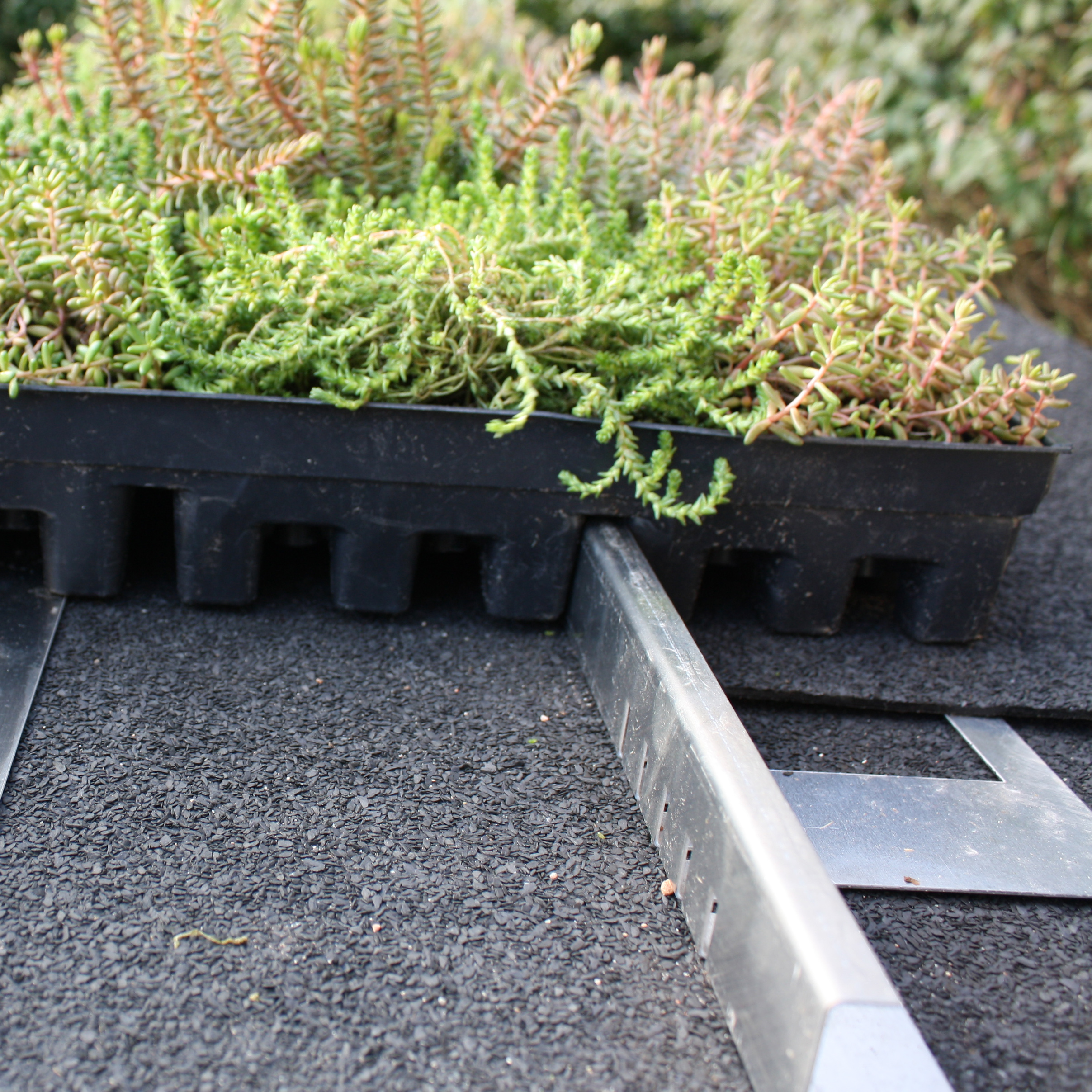 Støtteprofil holder sedumbakker på plads