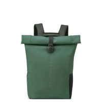 Delsey Ryggsäck Turenne Grön 1