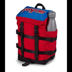 JanSport Ryggsäck Mini Skip Röd alt image