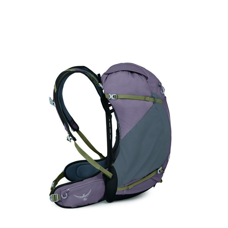 Osprey Vandringsryggsäck Hikelite 32 Lila 3