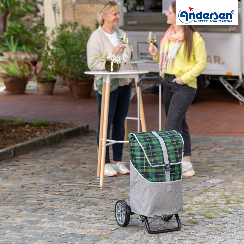 Andersen Indkøbsvogn Alu Star Gese Grøn/grå 2