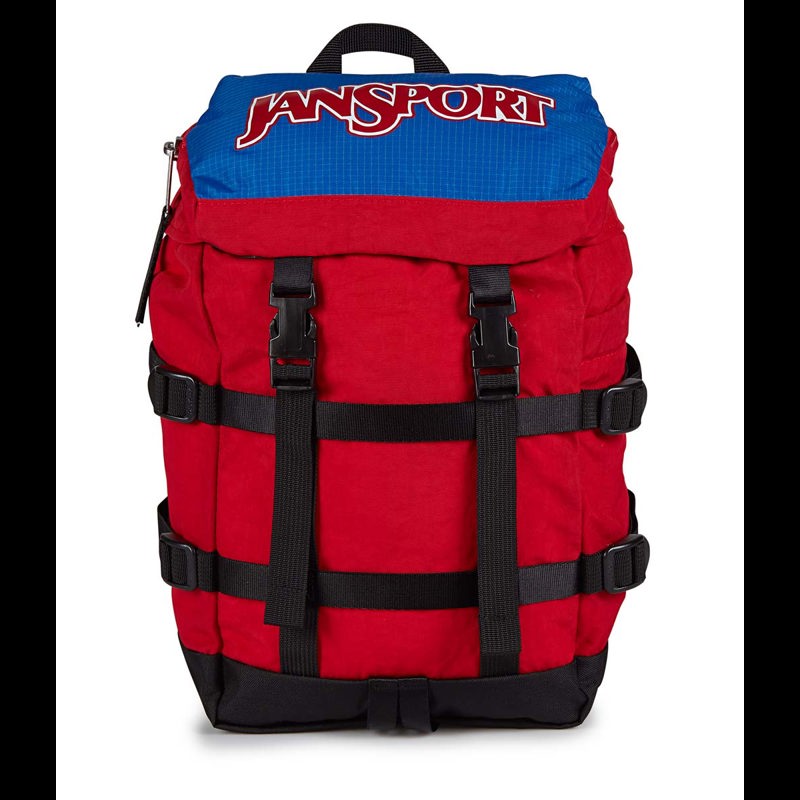 JanSport Ryggsäck Mini Skip  Röd 1
