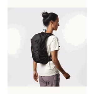 Salomon Rygsæk Trailblazer 10 Sort alt image