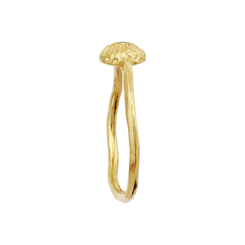 Maanesten Ring Tacita Guld Str. 49 3