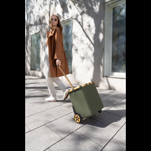 Reisenthel Shoppingvagn Carrycruiser Armégrön alt image