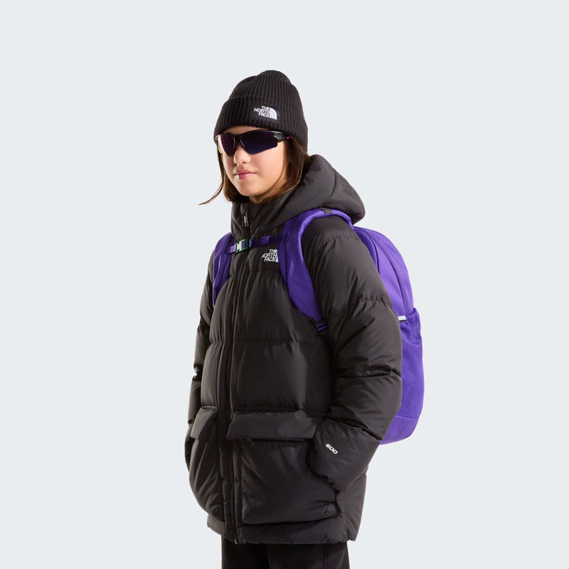 The North Face Ryggsäck Court Jester Y Lila 6