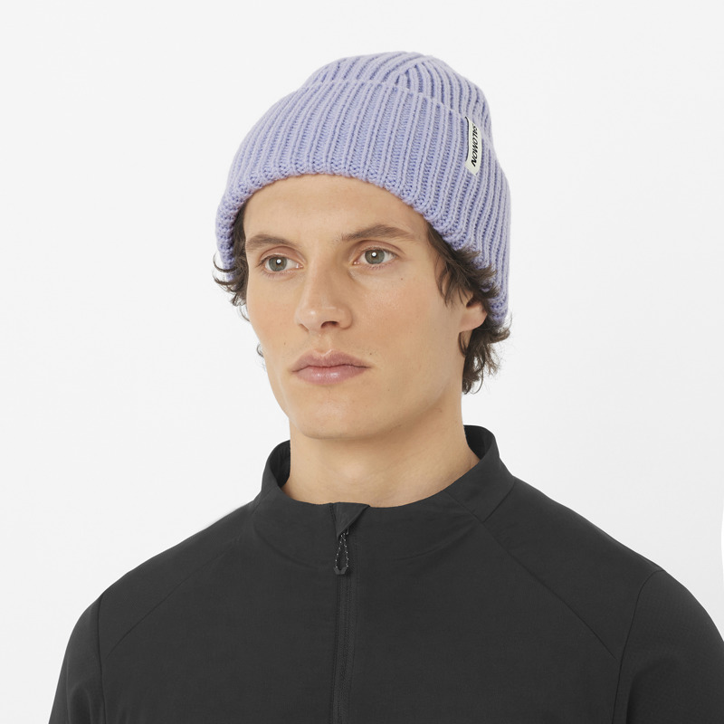 Salomon Mössa Snowbird Beanie Lila 2