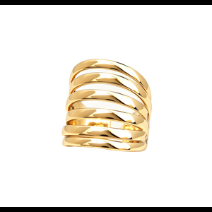 Conmé Ring Fukuoka Guld