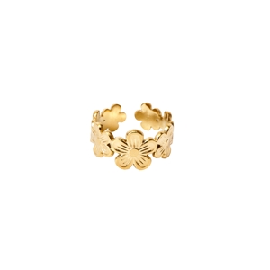 PITAYA Ring Rosie Guld