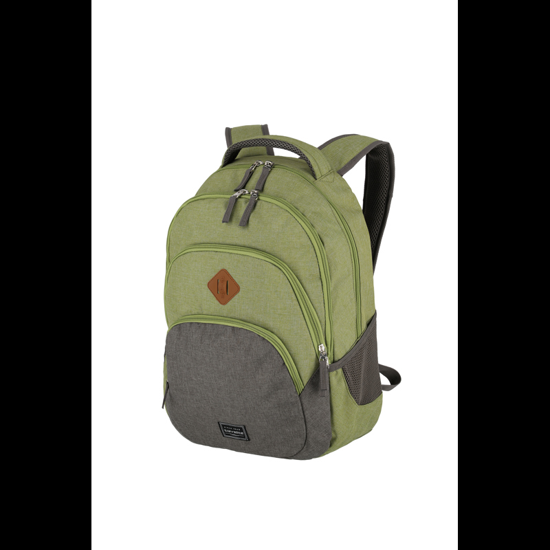 travelite Basics ryggsäck Grön/grå 15" 3