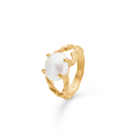 Studio Z Ring Perma Guld Str. 52 1
