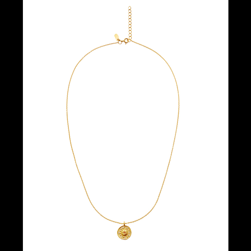 Maanesten Halsband Friendship Guld 4