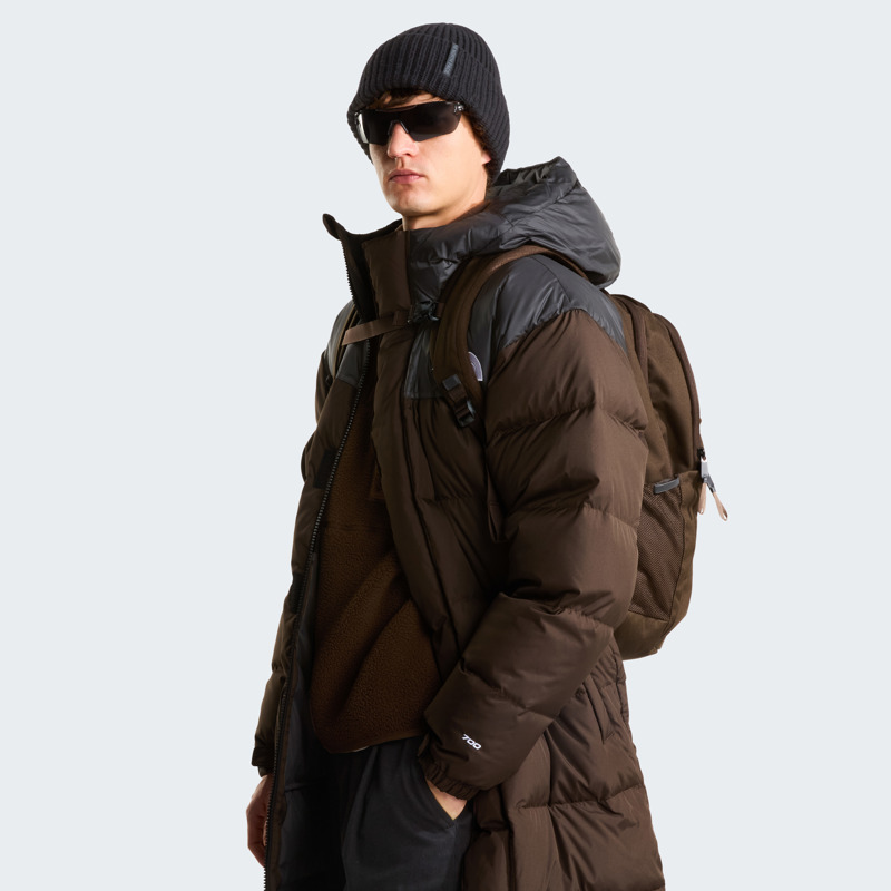 The North Face Ryggsäck Vault M. Brun 7