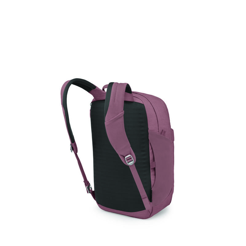 Osprey Ryggsäck Arcane XL Day Lila 3