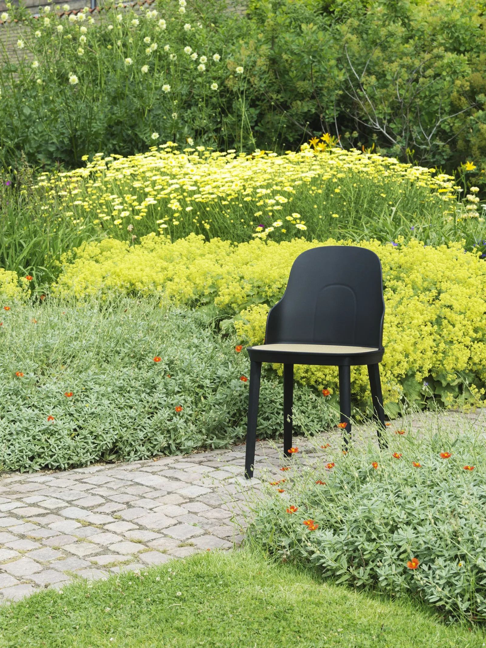 304045
